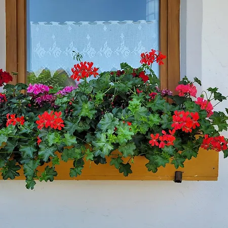 Διαμέρισμα Bei Helga Tittmoning